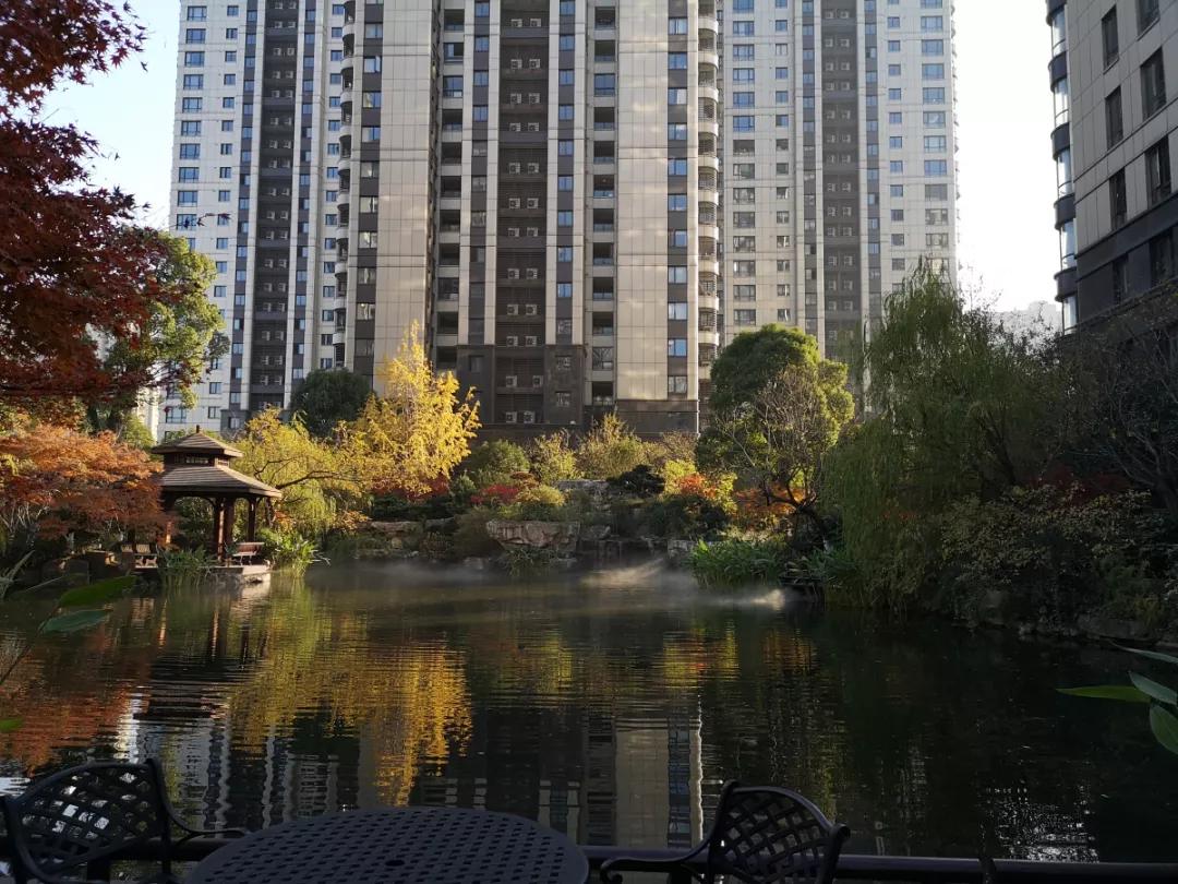 杭州被点名,杭州通报表扬