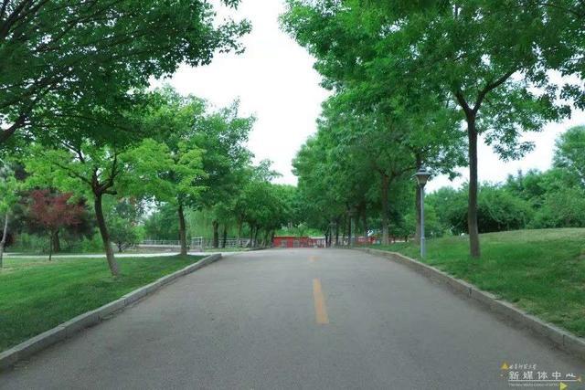 我看到真实的曲阜师范大学――有灯光的地方就有人学习