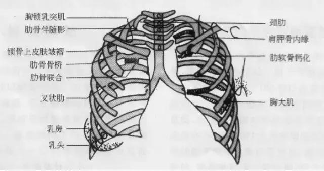休闲小白鞋夏,献血小板相当于献血多少