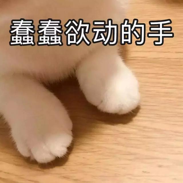 ysl口红必买色号排名显白,适合冬季的大牌口红