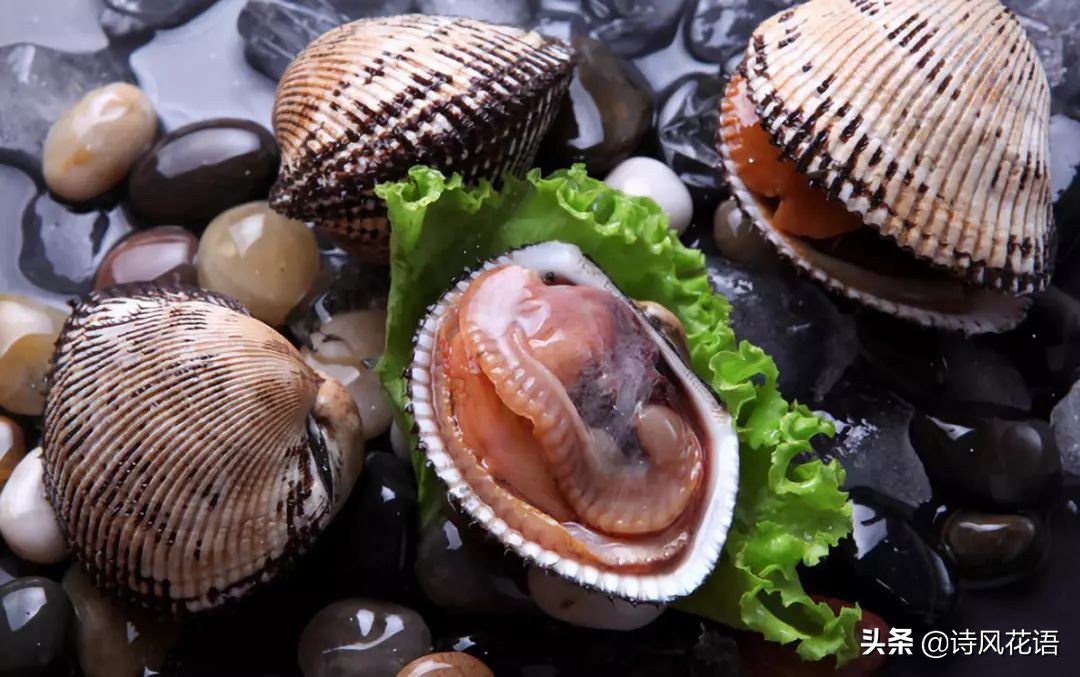家乡印象海鲜,家乡味道舌尖上的美食