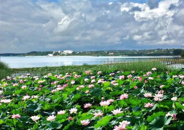 荆门就是荆州吗,荆州是不是就是荆门