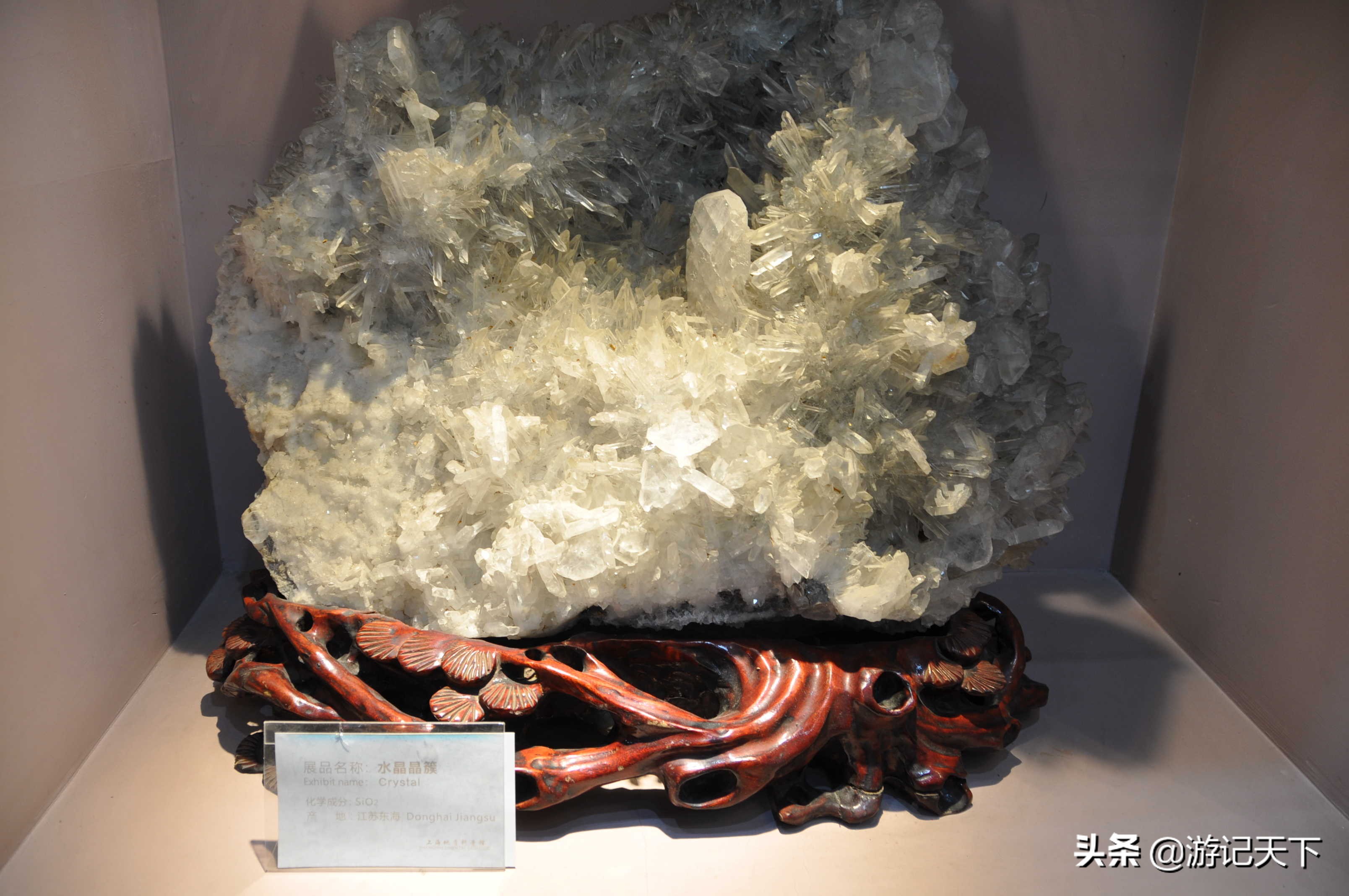 阿尼亚参观博物馆,上海地质科普馆游玩