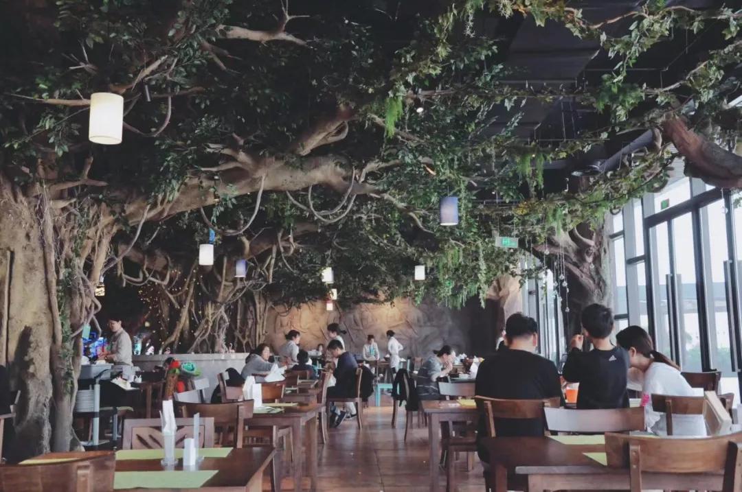 浪漫树屋、奇妙酒店、恒温水乐园...去江浙沪Top酒店跨个30℃的年