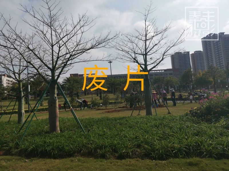 废片不要着急扔,废片要删掉吗