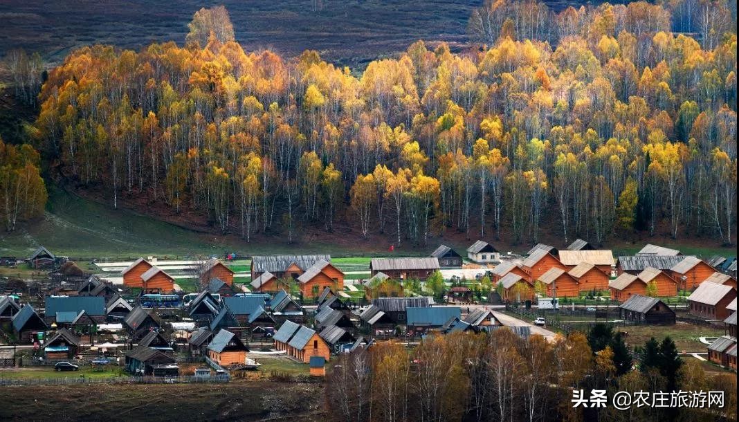 有历史文化气息的老院子,老院子美到骨子里