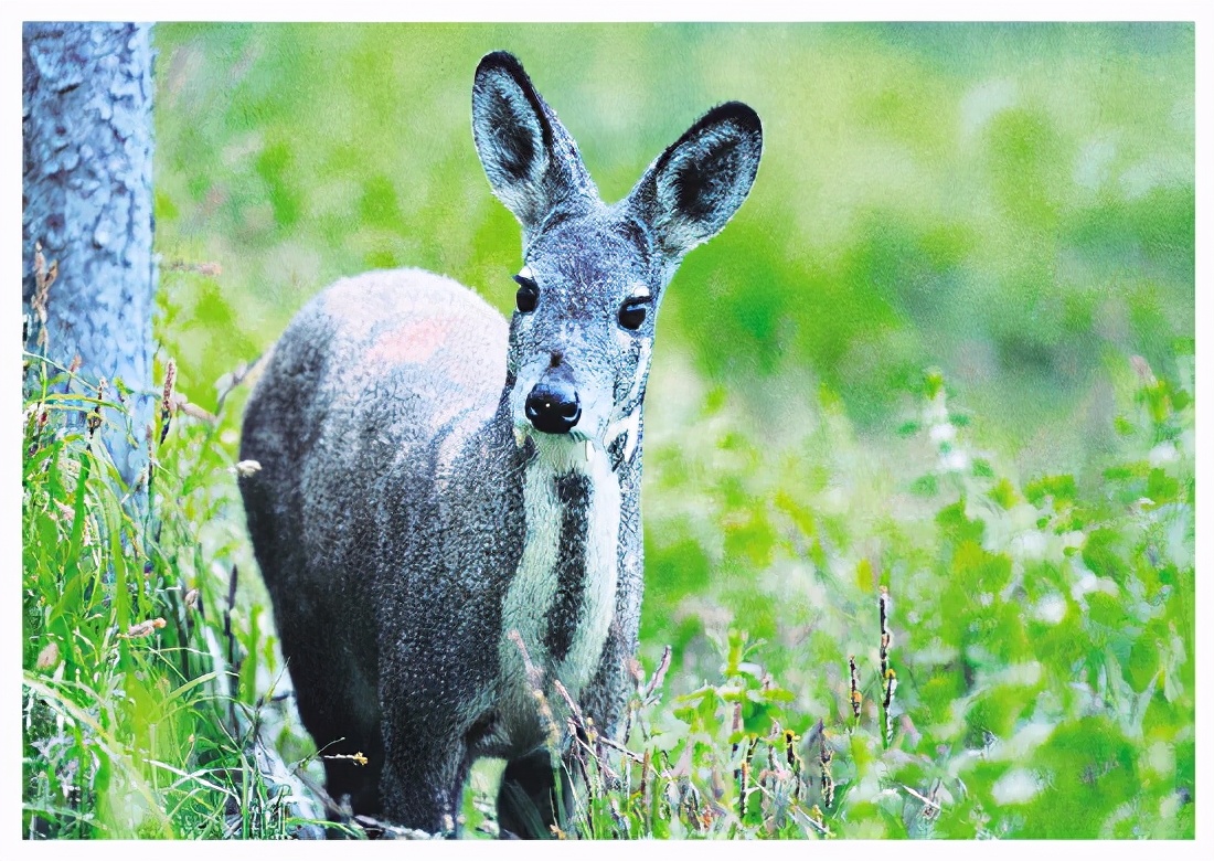 桂林生态文明建设视频素材,桂林生态保护