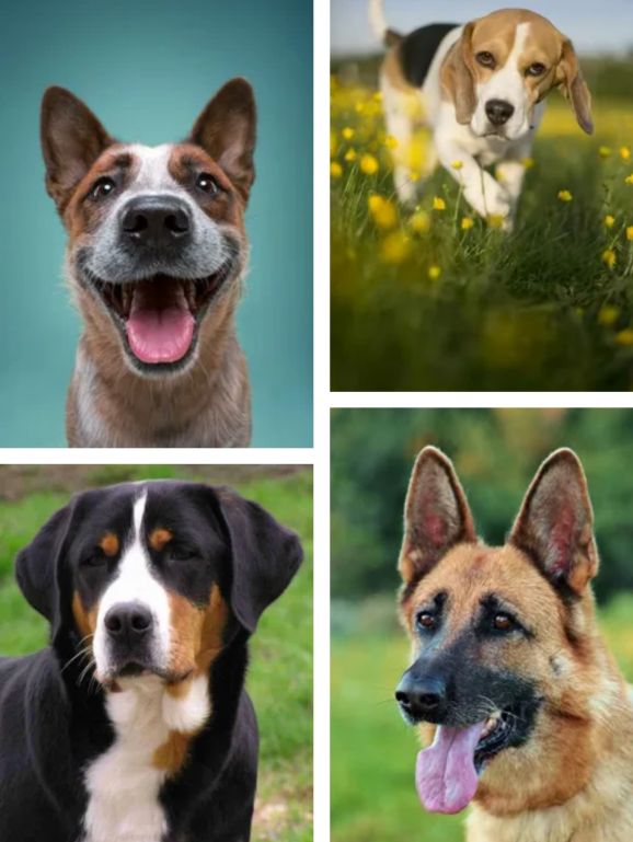 俄罗斯最著名的十大雕塑是,俄罗斯最著名的十大建筑物