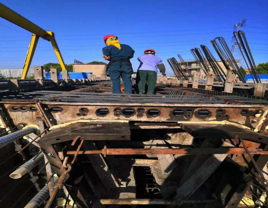 戴南镇2022年有哪些重大项目开工,戴南迎宾大道改造