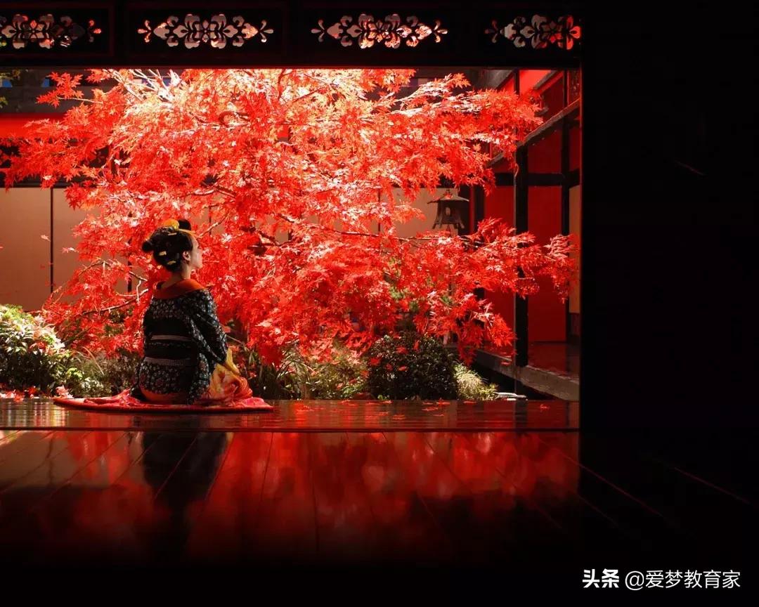 亚洲最狂野女导演,一年出3部新片,半个演艺圈为她站台