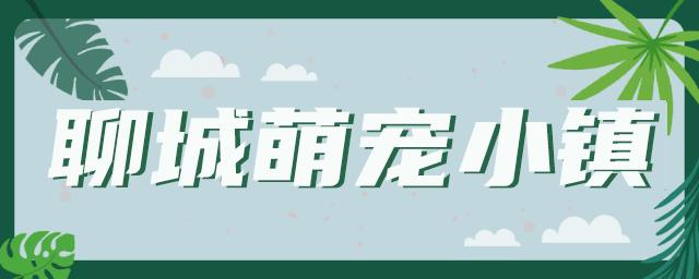 五一萌宠游园会,五一萌宠节