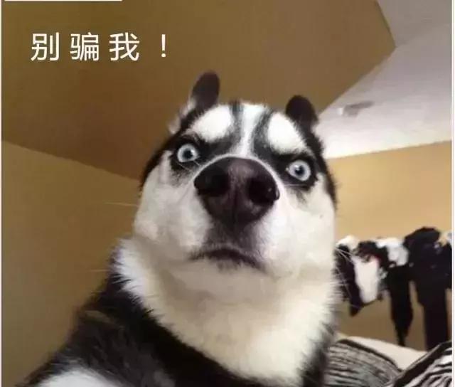 关于钻石的一些看法,钻石的介绍技巧与方法视频