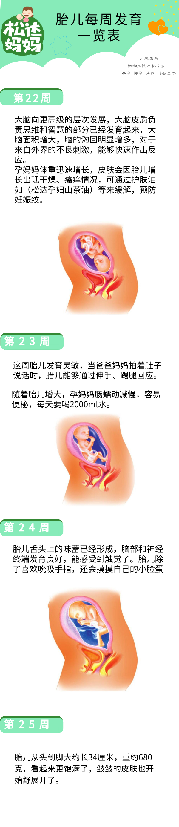 怀孕40周胎儿发育一览表，周周都有新变化！太神奇了