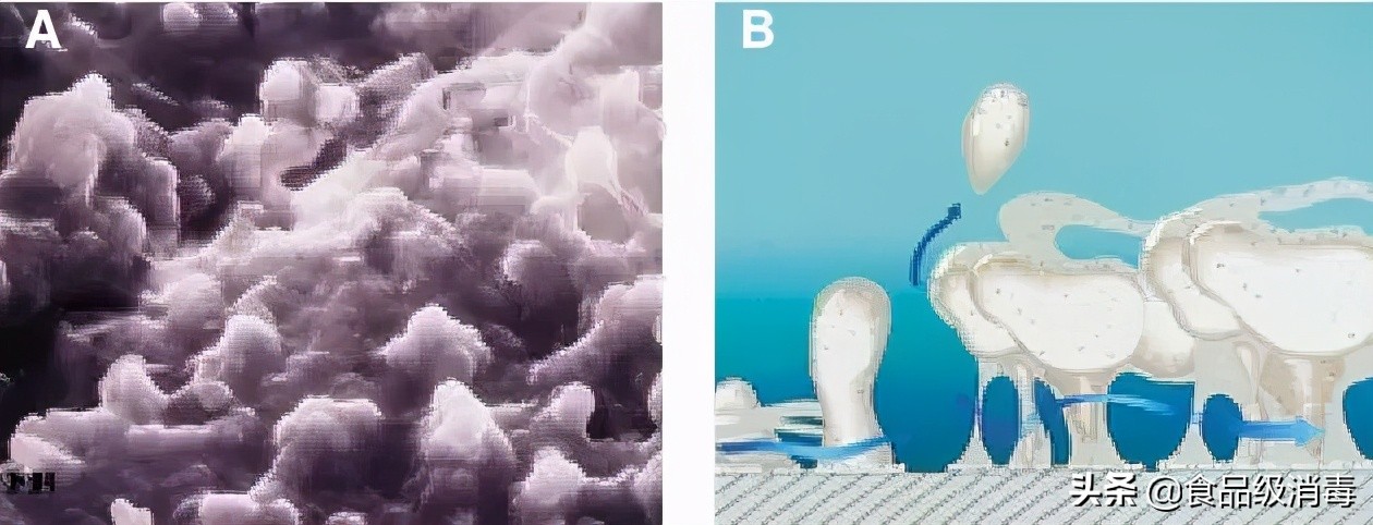 口腔诊疗用水污染三个主要来源,口腔综合治疗台水路消毒规范