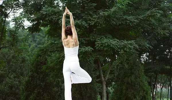补肾不花一分钱,被忽略的补肾好药便宜又好用