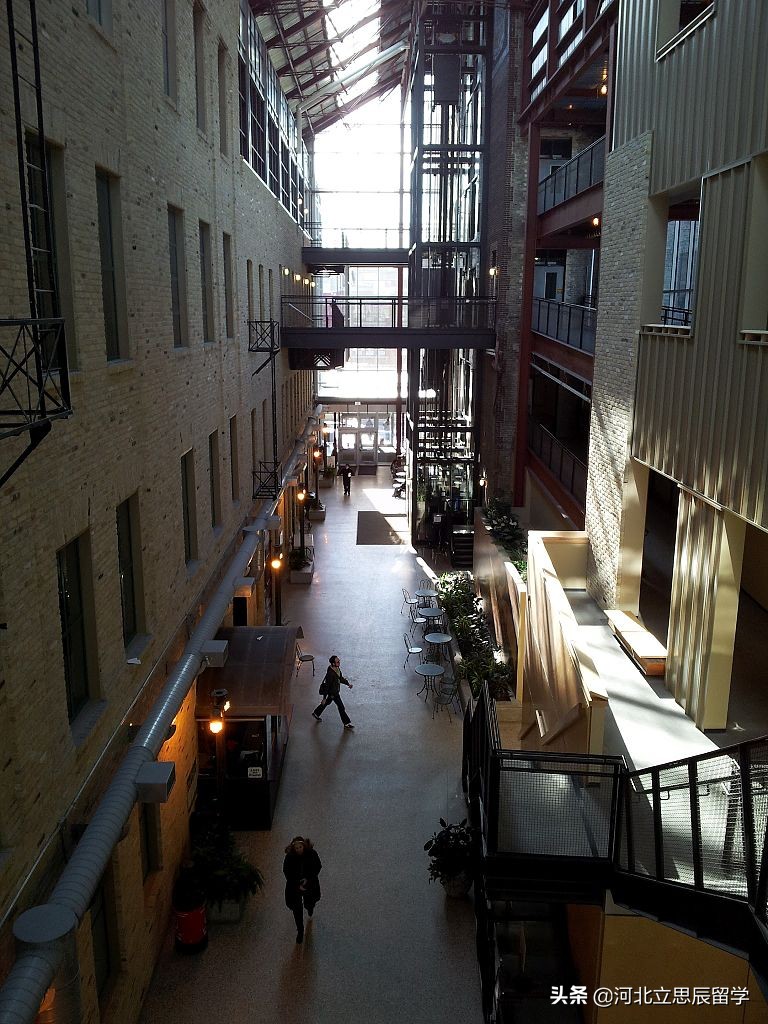 帮别人带药入境美国,出国带药被遣返怎么办