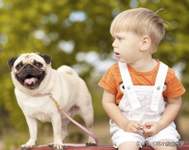 被宠物咬伤的正确处理图片,被宠物咬伤怎么办