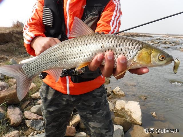 3月份浅水路亚,百闻不如一见美景视频