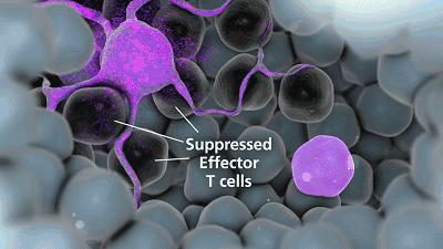 肿瘤免疫治疗费用,肿瘤免疫治疗是什么意思