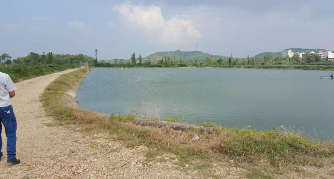 水产养殖常见的鱼类出血烂身性疾病的分析与防控