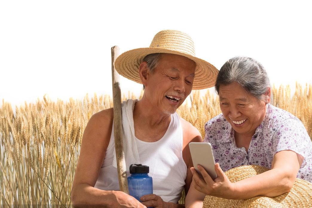 麦田除草剂药害最好的解除方法,麦田拔节除草剂药害如何补救视频