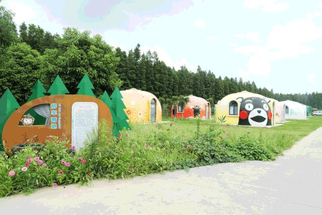 森氧之地,秋游必选!金湖万亩水上森林,真的别有趣味