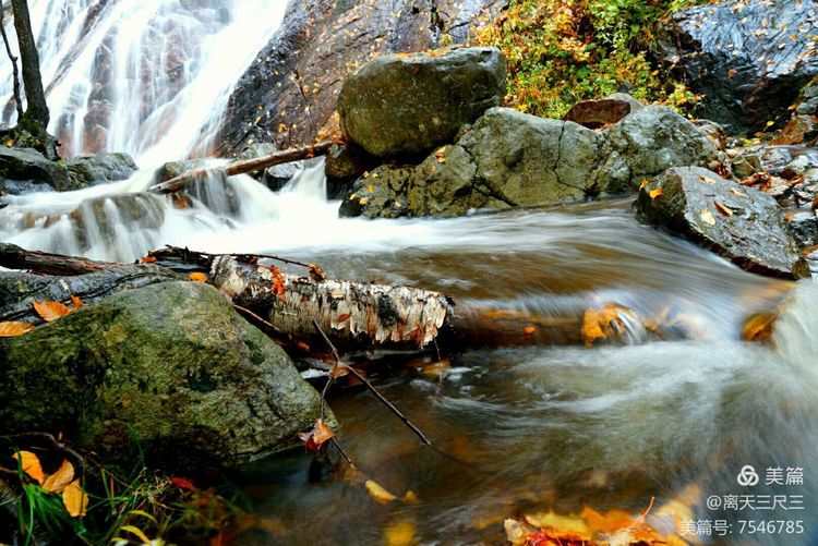 鍖楃編鏋儏閽荤煶姗℃湪,鍖楃編鏋儏鐏攨