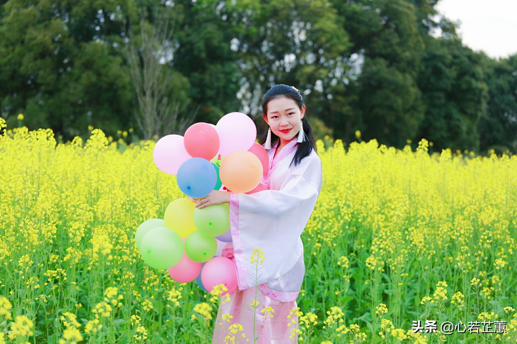 油菜花一片片的像什么,梯田油菜花和平原油菜花