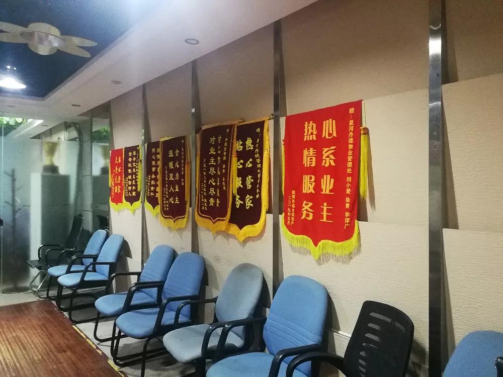 星河丹堤小区效果图,星河丹堤航拍视频