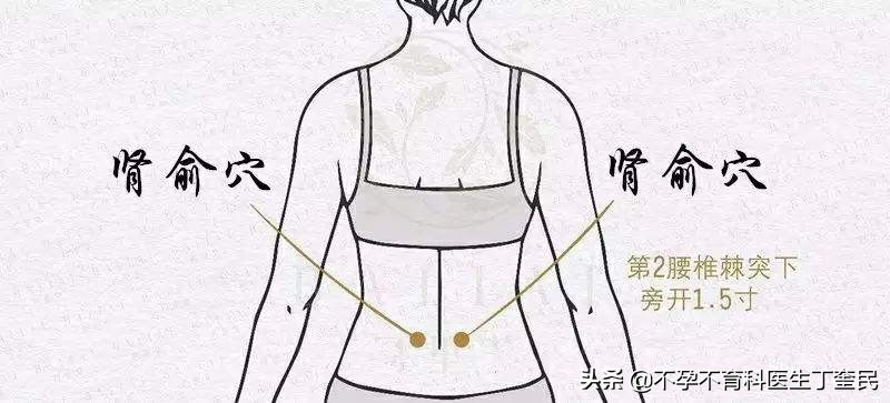 艾灸助孕穴位全图,艾灸助孕要注意什么