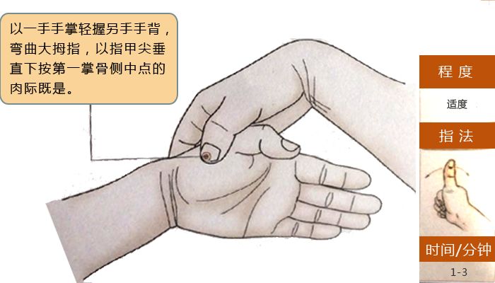 颈部穴位身体穴位图解,什么是穴位