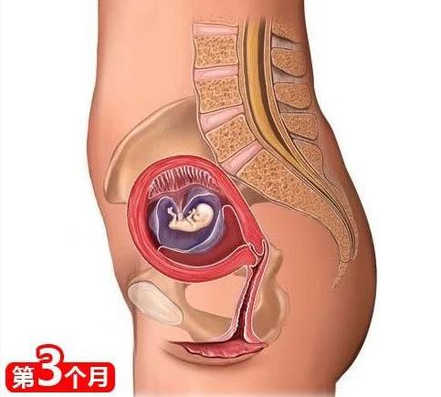 孕晚期胎儿有什么感觉,孕晚期胎儿入盆是怎么样的感觉