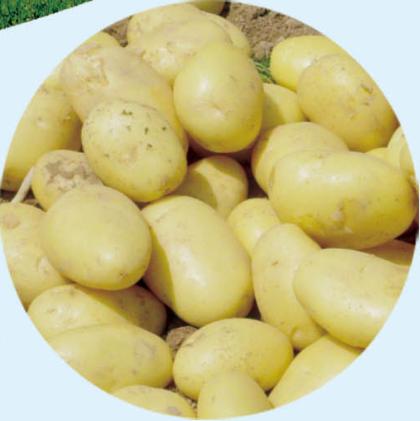 投资兴业沃土蕴藏无限商机——了解一下巴林左旗