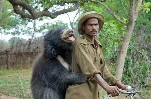 为什么印度是神奇的国度,为啥印度是个神奇国度啊