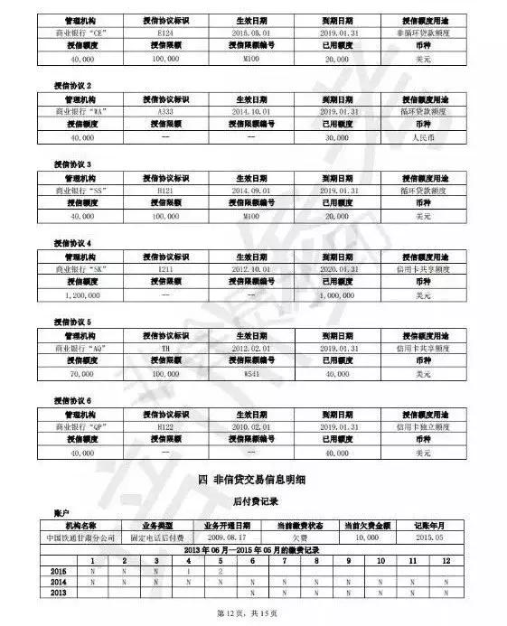 个人征信报告简要版和详细版,如何读懂个人征信报告电子版