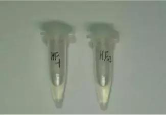 “我吸毒了，我妈喂的！”