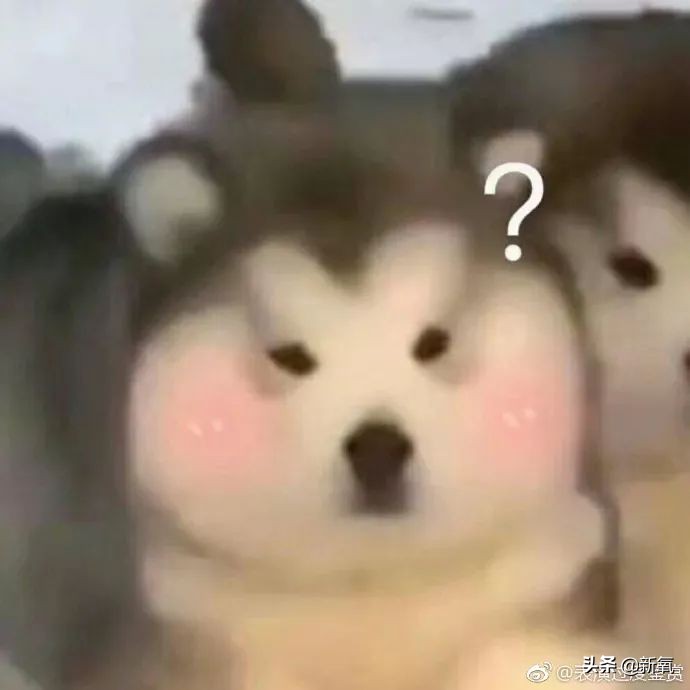 张柏芝最崩溃的时刻,张柏芝连续16天没醒