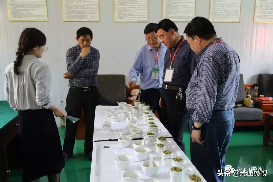 光山斗茶大赛完整版,信阳斗茶大赛获奖