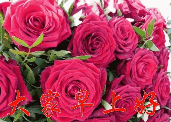 人生一辈子努力争取得失一切随缘,人生就是一个过客不必在意结果