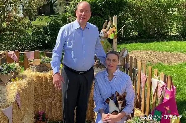 法国比利时爱马仕打折,爱马仕铂金包怎么打折