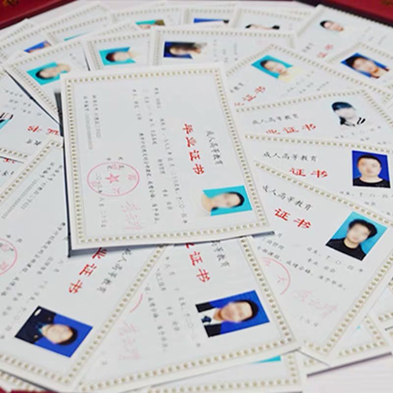 东莞学历提升有哪些好的 (本科学历在东莞享受哪些福利)