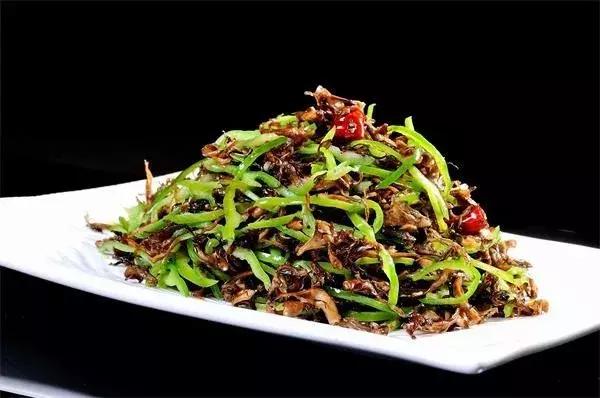 无毒野生菌图鉴大全,见手青野生菌可以吃的种类