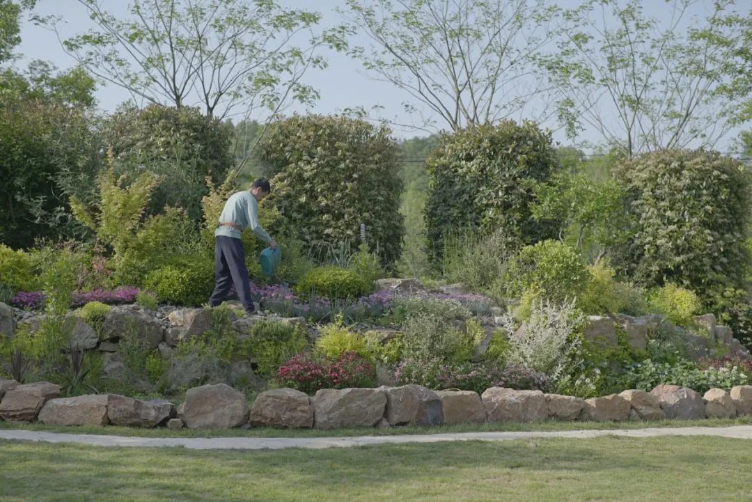 腾讯高管辞职隐居,腾讯元老隐居合肥