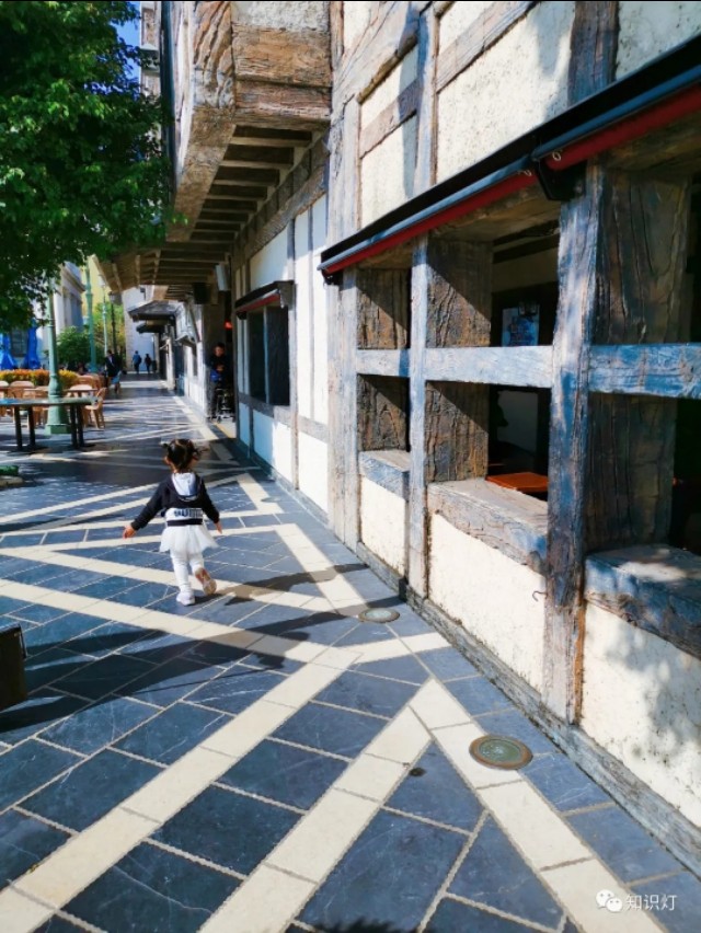 赌城简介,走进赌徒的内心世界