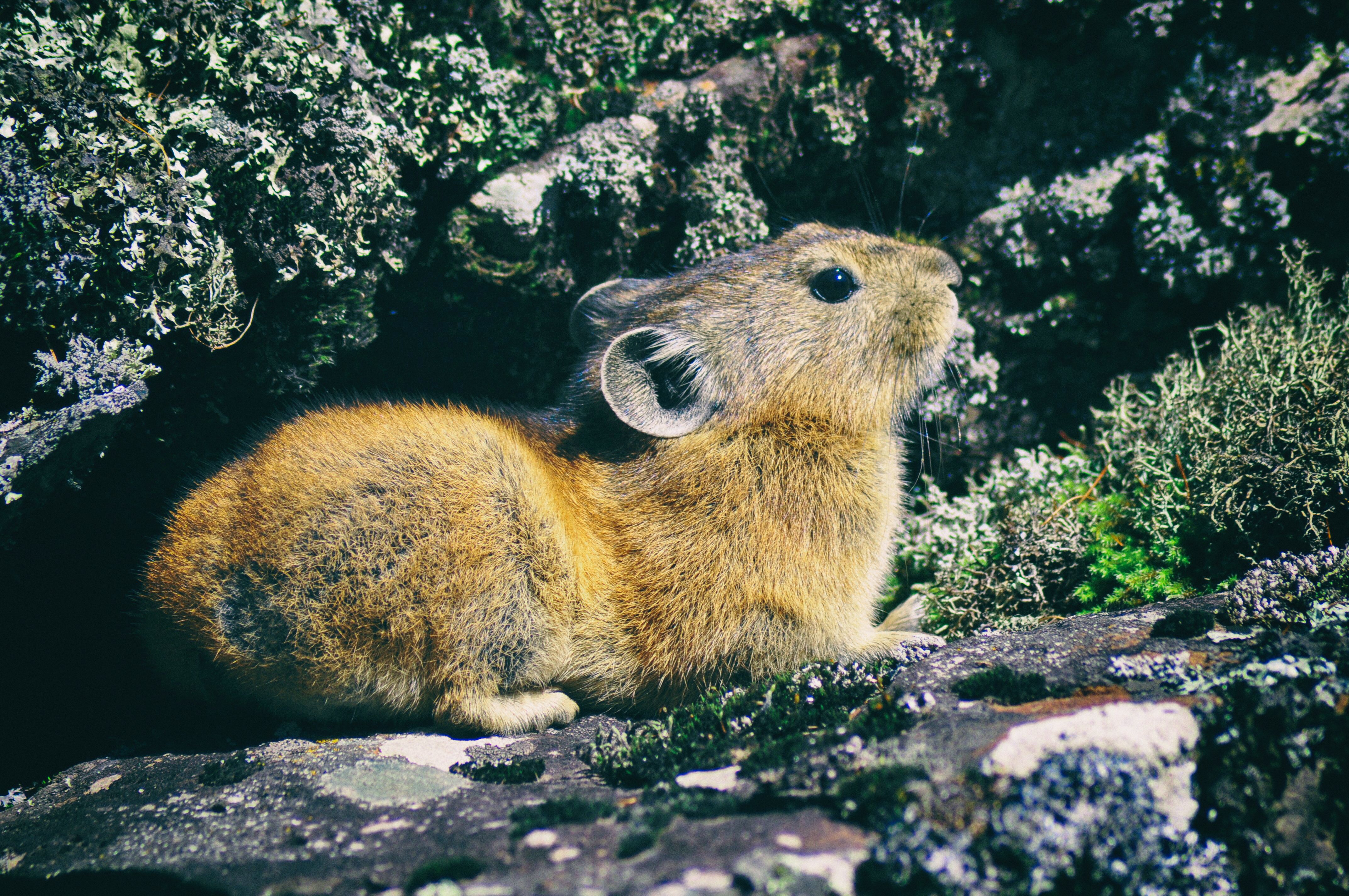 被称为东方瑞士的地方,号称东方瑞士