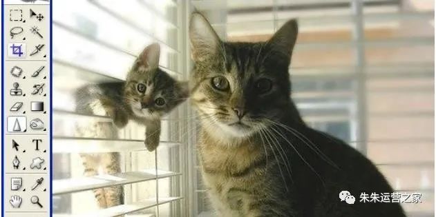 朱朱运营之家:学习PS工具箱中的模糊/锐化/涂抹工具