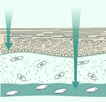 女神节保湿好物推荐,女神节的种草好物