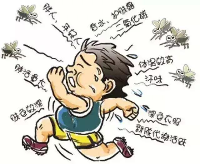 宝宝老是被蚊虫咬有什么驱蚊方法,夏季蚊虫预防处理