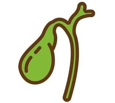 胆囊切除之后还会有结石吗,胆囊切除后胆汁到哪里去了