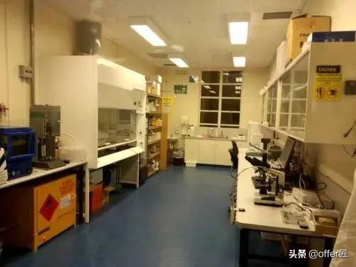 阿德莱德大学怎么样?赶紧来看看这所低调的实力派大学吧